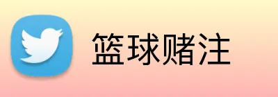 篮球赌注 Logo